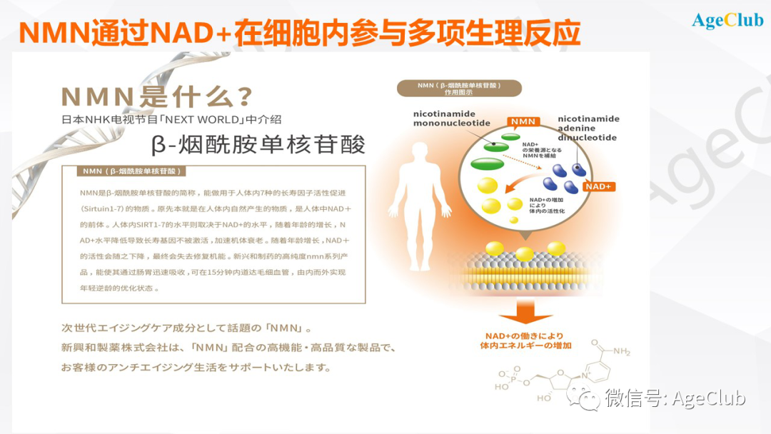 新知图谱, 中国NMN保健品行业迎来新机会